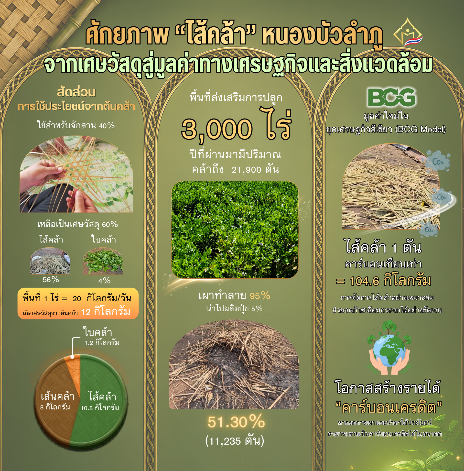 ศักยภาพไส้คล้า หนองบัวลำภู